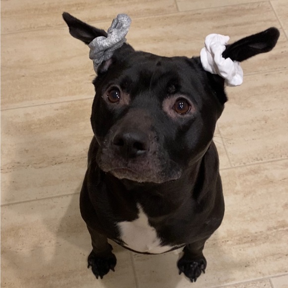 Meet your Posher, Melissa - Picture 2 of 3